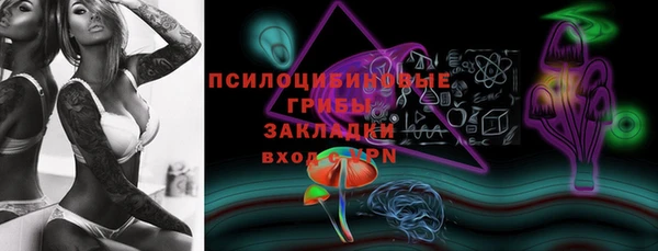 ПСИЛОЦИБИНОВЫЕ ГРИБЫ Липки