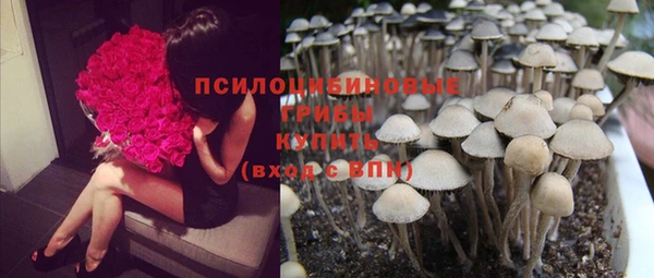 первитин Алексеевка
