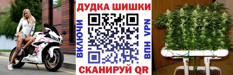 купить наркоту  Абдулино  Канабис семена 